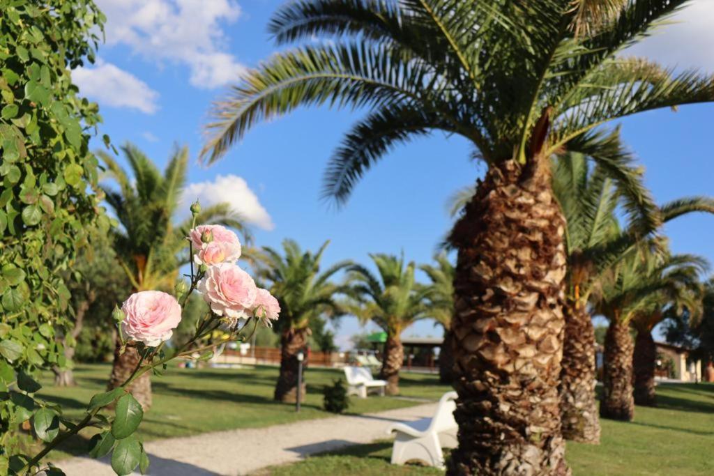 Agriturismo Il Casale Di Monica Rivotorto Eksteriør billede