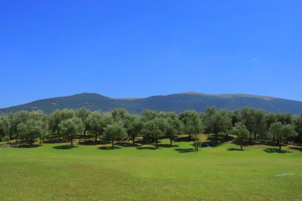 Agriturismo Il Casale Di Monica Rivotorto Eksteriør billede
