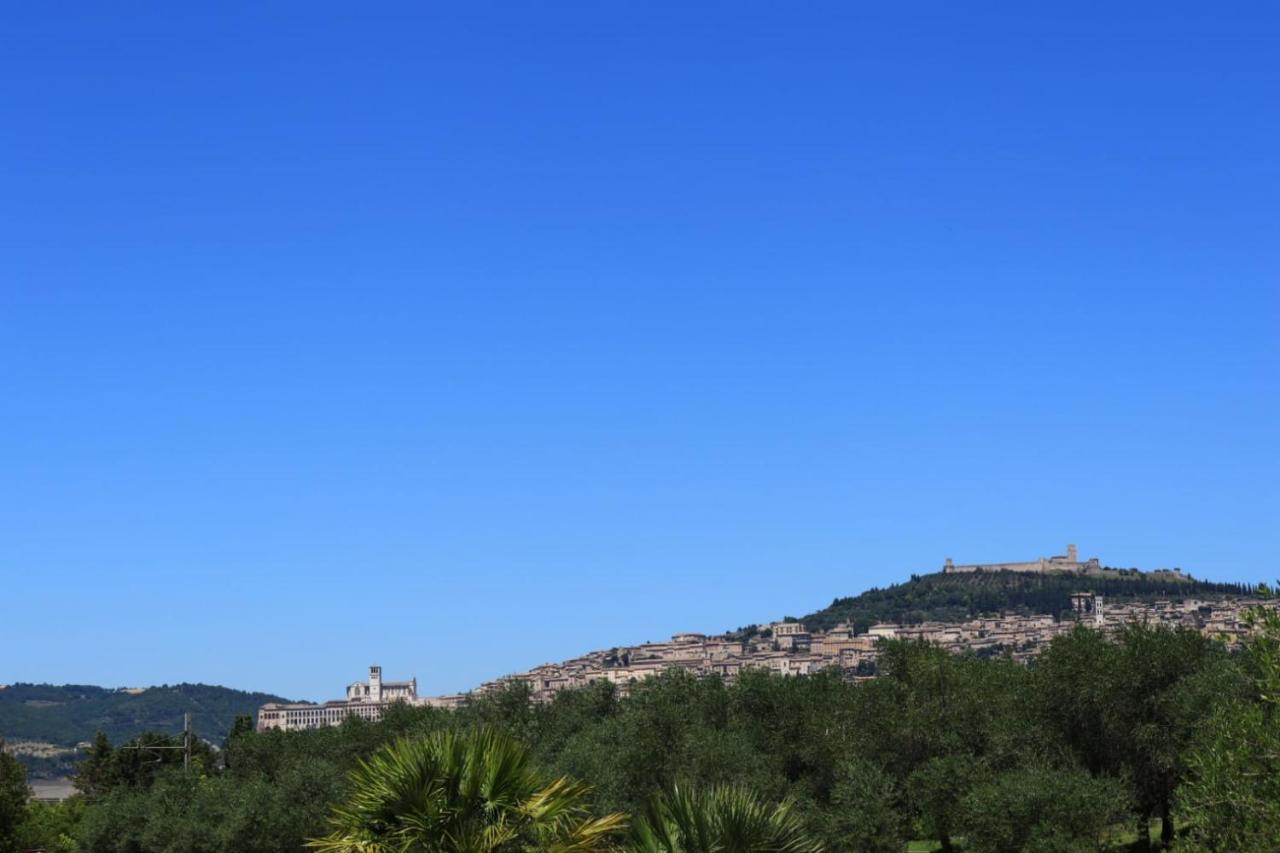 Agriturismo Il Casale Di Monica Rivotorto Eksteriør billede